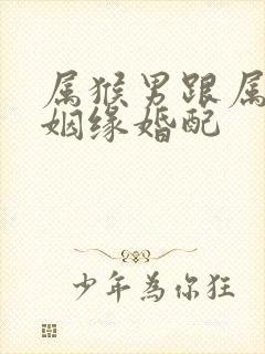 属猴男跟属牛女姻缘婚配