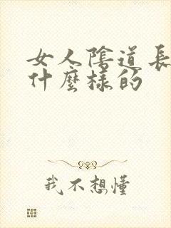 女人阴道长疣是什么样的