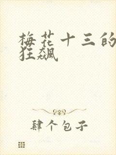 梅花十三的乳液狂飙