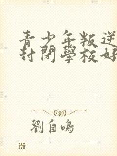 青少年叛逆正规封闭学校好不好