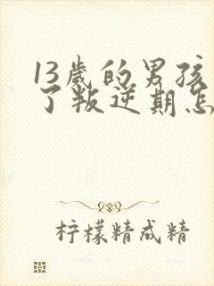 13岁的男孩到了叛逆期怎么教育