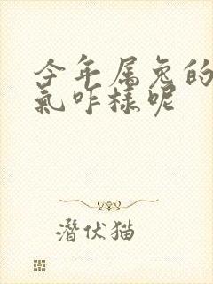 今年属兔的人运气咋样呢