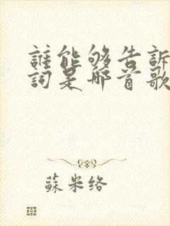 谁能够告诉我歌词是哪首歌