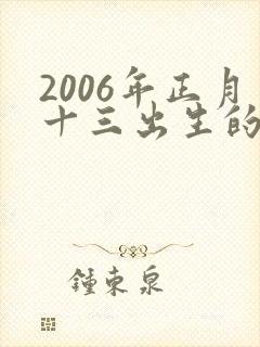 2006年正月十三出生的男孩命运怎样