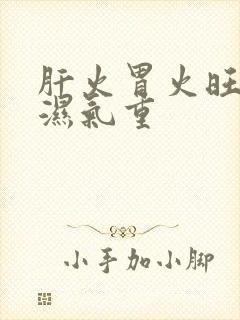 肝火胃火旺脾虚湿气重封面