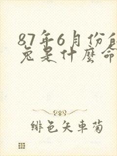 87年6月份的兔是什么命