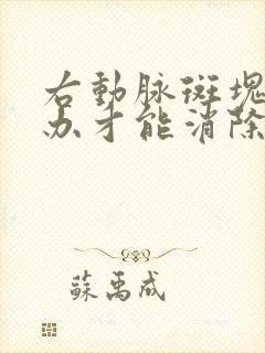 右动脉斑块怎么办才能消除