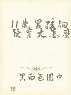 11岁男孩胸部发育大怎么回事封面