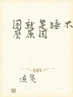 困就是睡不着什么原因