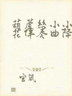 葫芦丝小小新娘花伴奏曲降b调