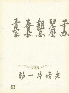 青春期儿子叛逆家长怎么办