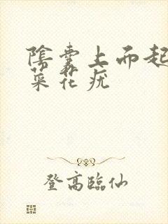 阴囊上面起许多菜花疣