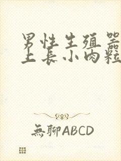 男性生殖器包皮上长小肉粒