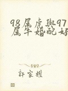 98属虎与97属牛婚配好不好封面