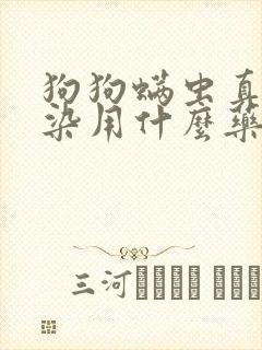 狗狗螨虫真菌感染用什么药