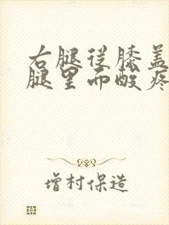 右腿从膝盖到大腿里面酸疼