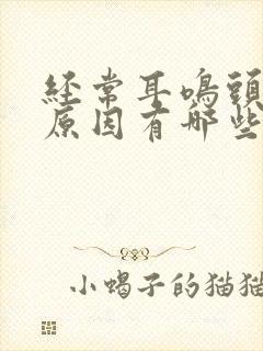 经常耳鸣头晕的原因有哪些