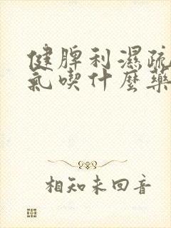 健脾利湿疏肝理气吃什么药