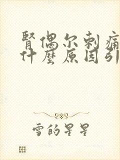 肾偶尔刺痛一下什么原因引起的