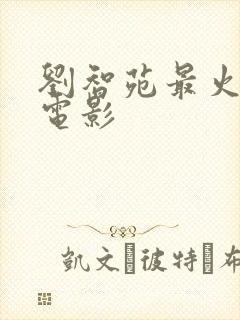 刘智苑最火十部电影封面