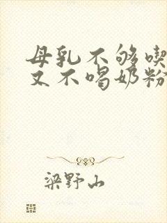 母乳不够吃宝宝又不喝奶粉怎么办封面