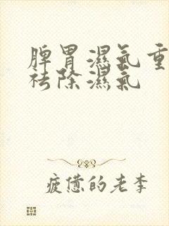 脾胃湿气重怎样祛除湿气