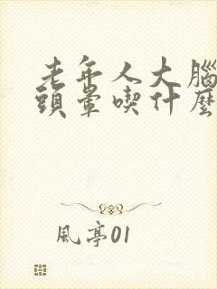 老年人大脑供血头晕吃什么药