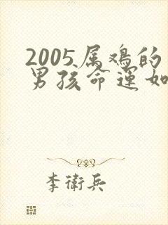 2005属鸡的男孩命运如何封面