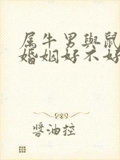 属牛男与鼠女配婚姻好不好封面