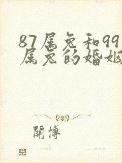 87属兔和99属兔的婚姻怎样封面