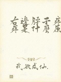 右边脖子疼肩膀疼是什么原因