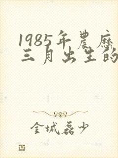 1985年农历三月出生的命运