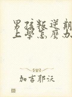 男孩叛逆期不想上学怎么办封面