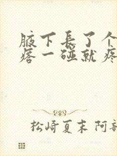 腋下长了个肉疙瘩一碰就疼