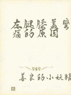 左腿膝盖弯曲疼痛的原因封面