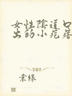 女性阴道口有突出的小疙瘩封面