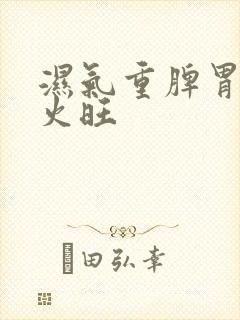 湿气重脾胃虚肝火旺