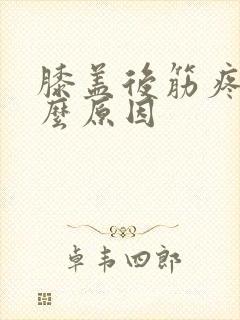 膝盖后筋疼是什么原因