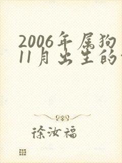 2006年属狗11月出生的命运