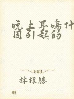 晚上耳鸣什么原因引起的