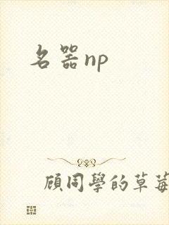 名器np