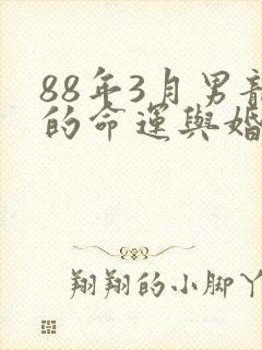 88年3月男龙的命运与婚姻