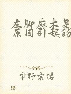 左脚麻木是什么原因引起的