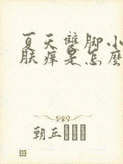 夏天双脚小腿皮肤痒是怎么回事