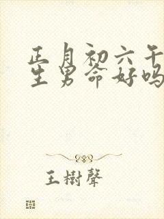 正月初六午时出生男命好吗