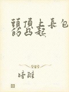 头顶上长包硬硬的凸起