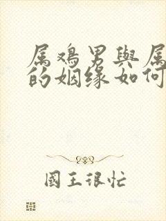 属鸡男与属马女的姻缘如何