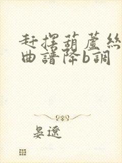 赶摆葫芦丝独奏曲谱降b调