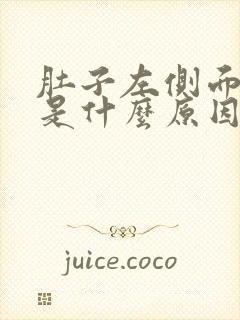 肚子左侧面疼痛是什么原因封面