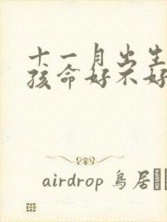 十一月出生的男孩命好不好封面